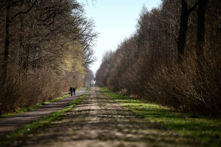 Des promeneurs empruntent la Trouée d'Arenberg, un site strictement protégé interdit aux véhicules, et un haut-lieu de la classique cycliste Paris-Roubaix, le 4 avril 2023 (Anne-Christine POUJOULAT)