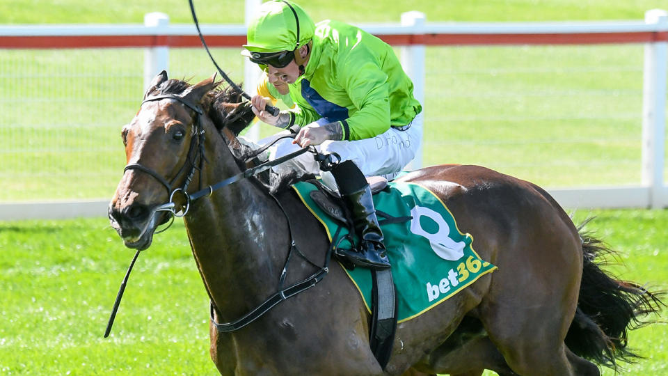 Tralee Rose (NZ) pictured winning the Geelong Cup, was taken to vet hospital in Werribee after being galloped on during the Melbourne Cup. (Brett Holburt/Racing Photos via Getty Images)