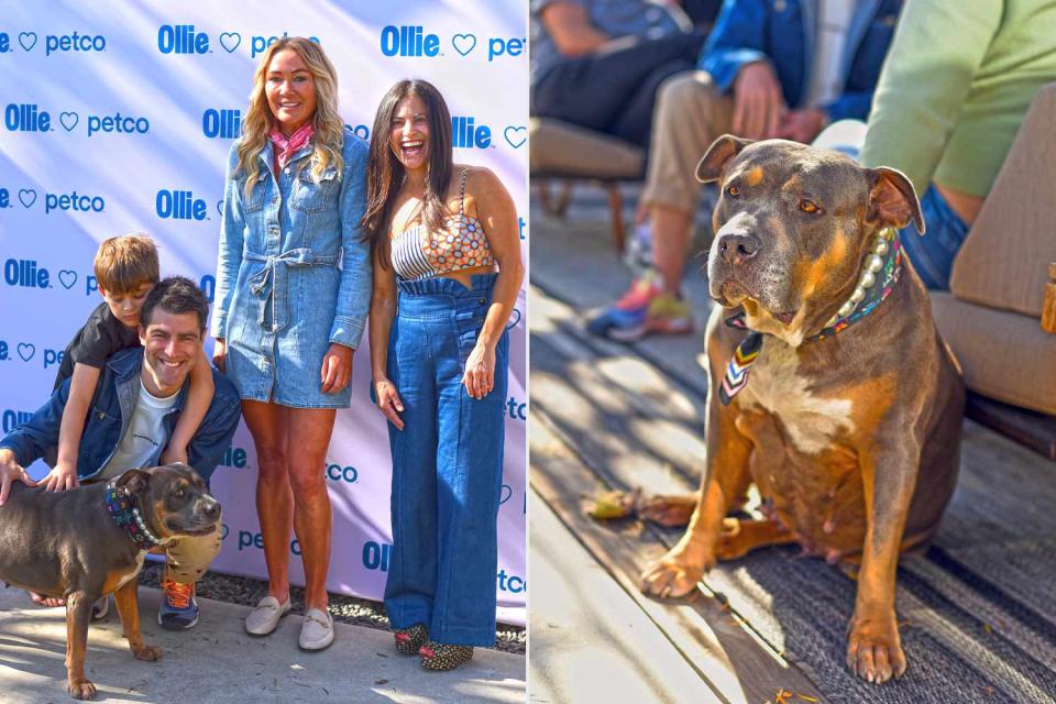 <p>Courtesy of Ollie </p> Max Greenfield with his son, their dog, Lyndsey Arnold, and Hillary Benjamin (left) and Darlene at the Furry Friendsgiving (right)