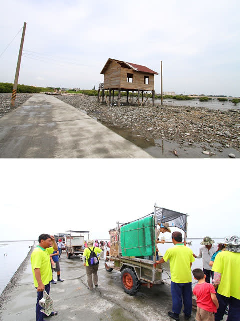 搭著鐵牛車出海採蚵、重溫童年歡樂趣！彰化芳苑牛車採蚵體驗