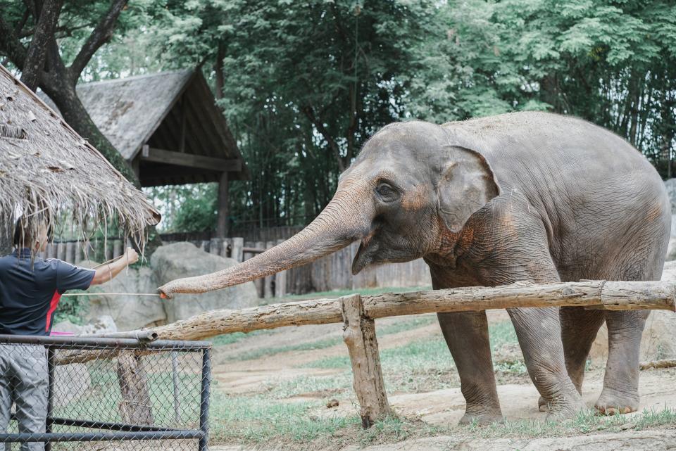 25 Best Zoos in the US