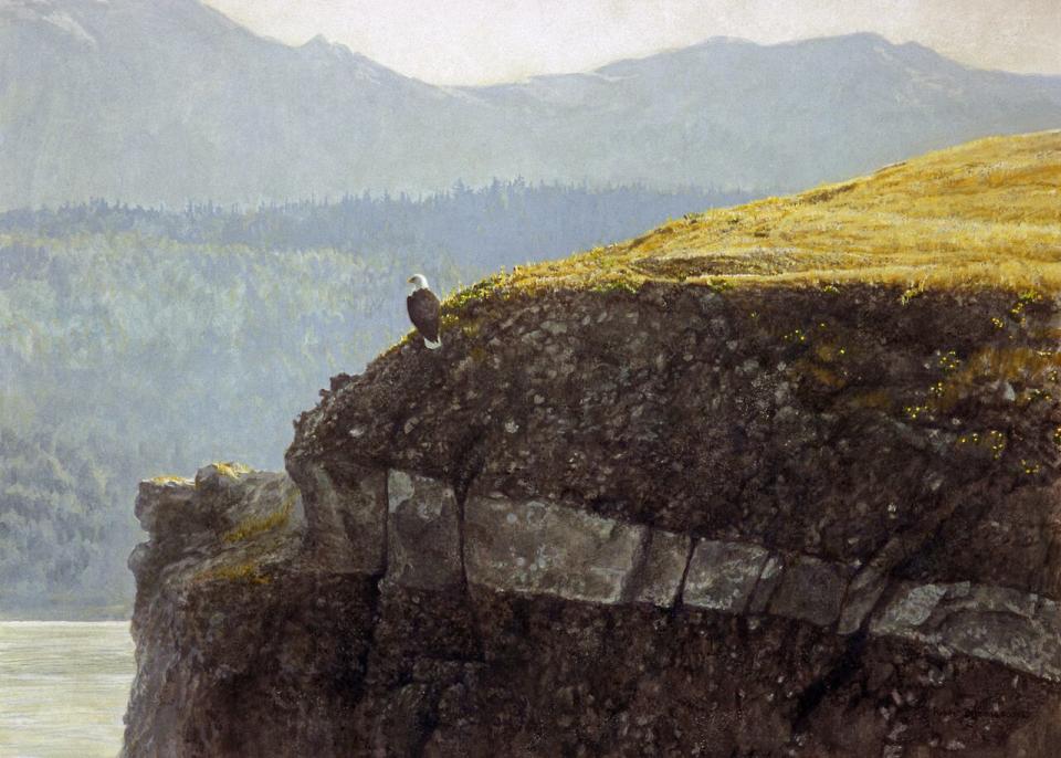 A Robert Bateman painting of an eagle sitting atop the bluffs at Helliwell Provincial Park on Hornby Island.