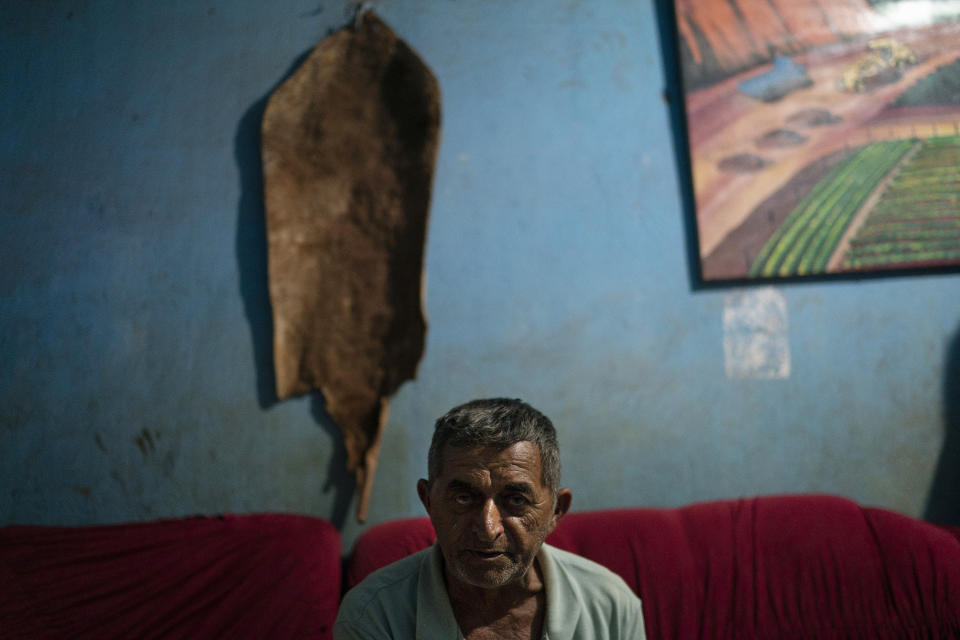 In this Nov. 29. 2019 photo, an otter pelt hangs on the wall behind Dede Diniz in his home in the town of Ruropolis, Para state, Brazil. Diniz remembers the visit of President Emilio Medici, during his military dictatorship, at the time the town was inaugurated. "There was a dream of colonization, of getting land and seeing if here we could have better financial conditions," said Diniz in his home. (AP Photo/Leo Correa)