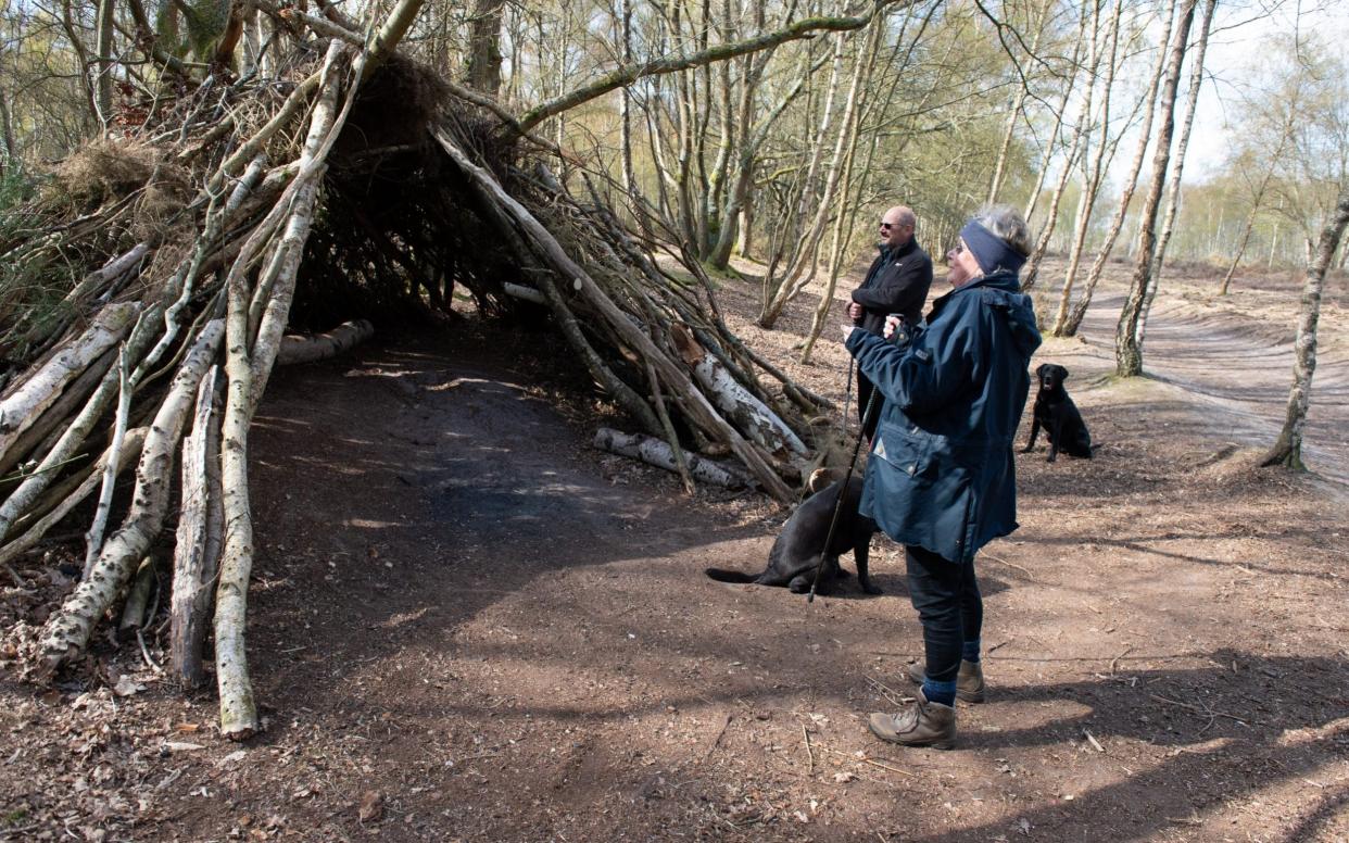 Surrey County Council has repeatedly ransacked the three-year-old boy's woodland den - because the sign 'excluded' other kids - SWNS