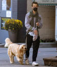 <p>Shawn Mendes takes his pup for a walk in his hometown of Toronto on Oct. 20.</p>