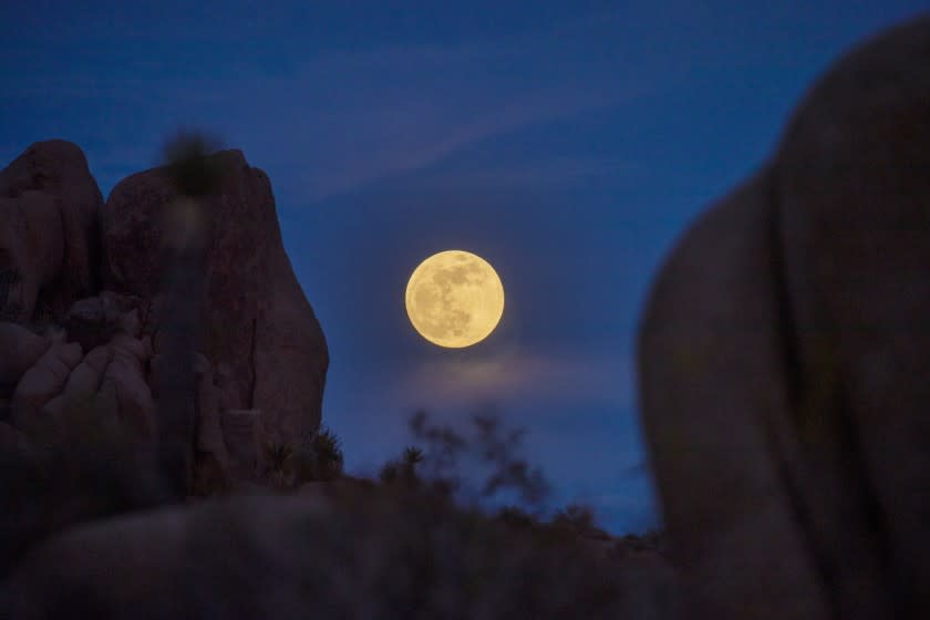 Clouds surround the super flower moon rising in Joshua Tree National Park