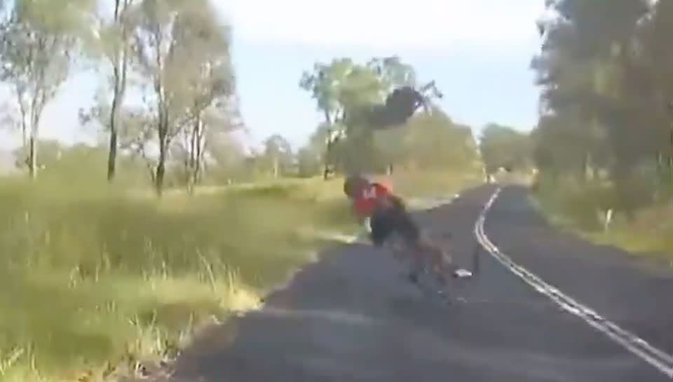 A roo crashes into a rider in Boonah, Queensland. Source: Facebook/Ash, Kip & Luttsy