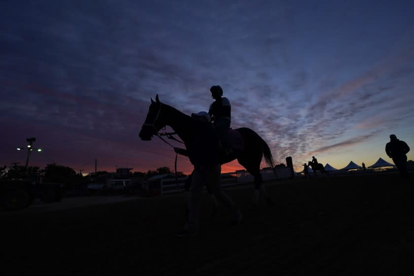 A jockey is seen atop a horse at dawn at the track at Pimlico Race Course ahead of the Preakness Stakes.