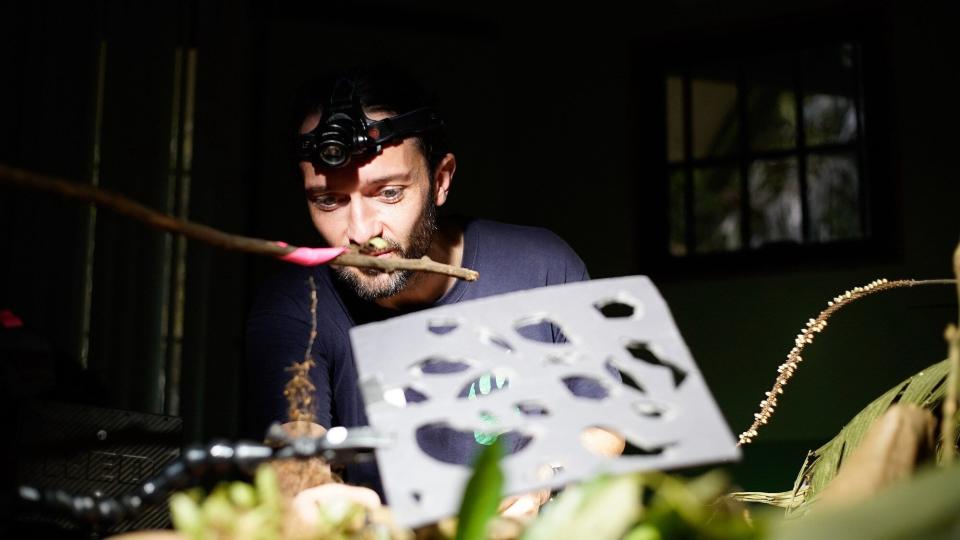 Bug wrangler Tim Cockerill on a shoot in Costa Rica