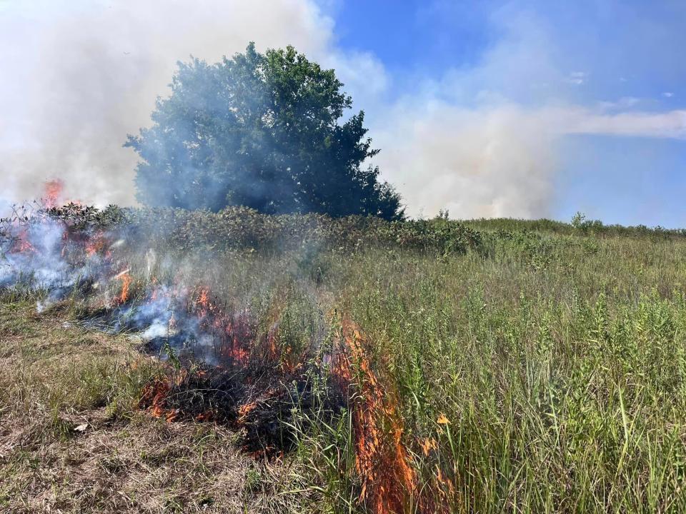A controlled burn was set on property belonging to Rolling Hills Zoo during a prescribed burn in August 2023. Prescribed burns like this are a tool that is used to help manage grasslands in the prairies in controlled, safe and responsible ways.