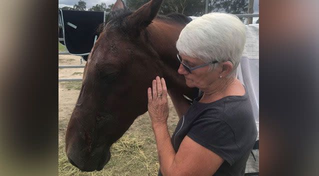 George was being looked after at a NSW property when he was found 