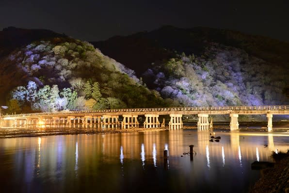 京都最美花燈路嵐山動人東山美絕