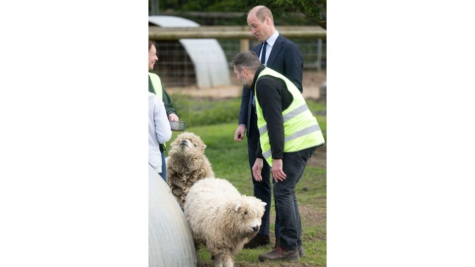 prince william touring farm