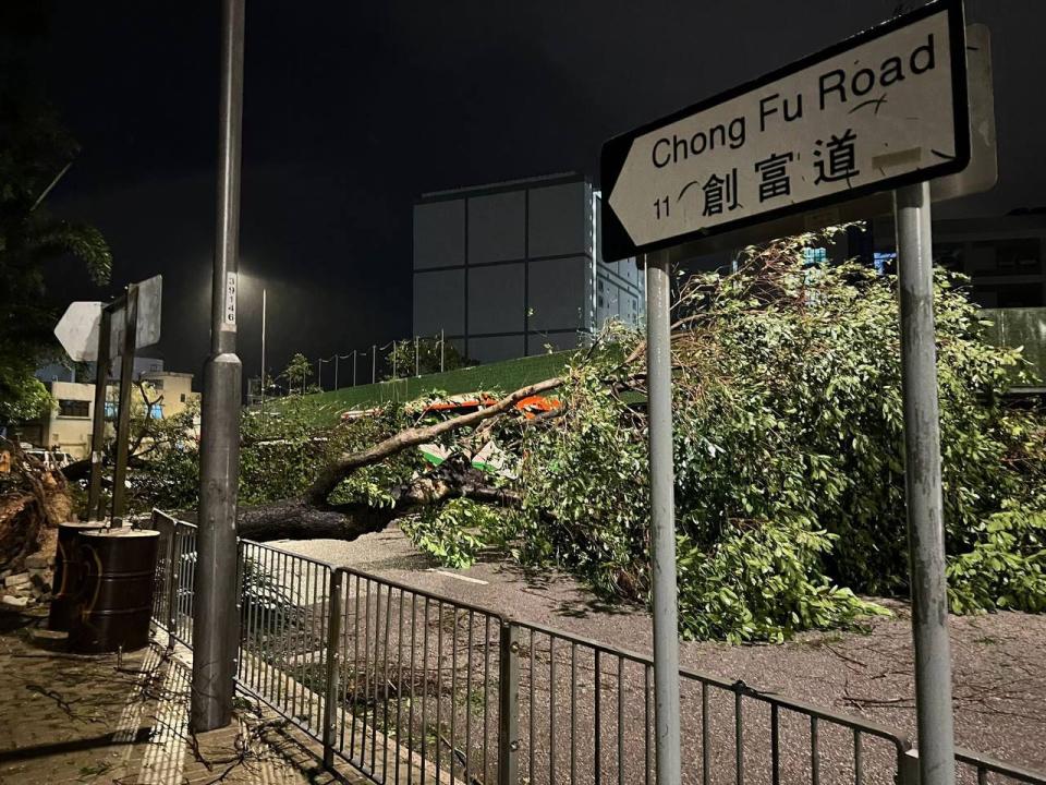 在杏花邨有大樹被吹塌，打橫倒在車路上，壓住行車線。（相片由Eyepress提供）