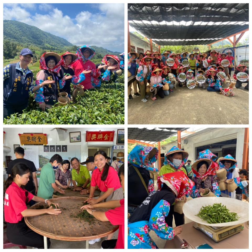 赤科山農村社區發展協會趕在封路前，8月2日舉辦「赤科山四季旅遊體驗-採茶活動」。（圖：劉敏娟攝）


