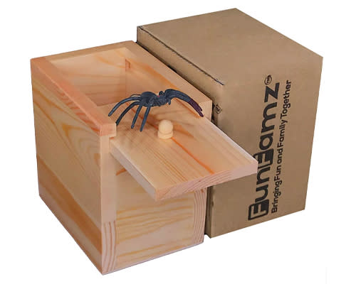best gifts for dad - spider box prank