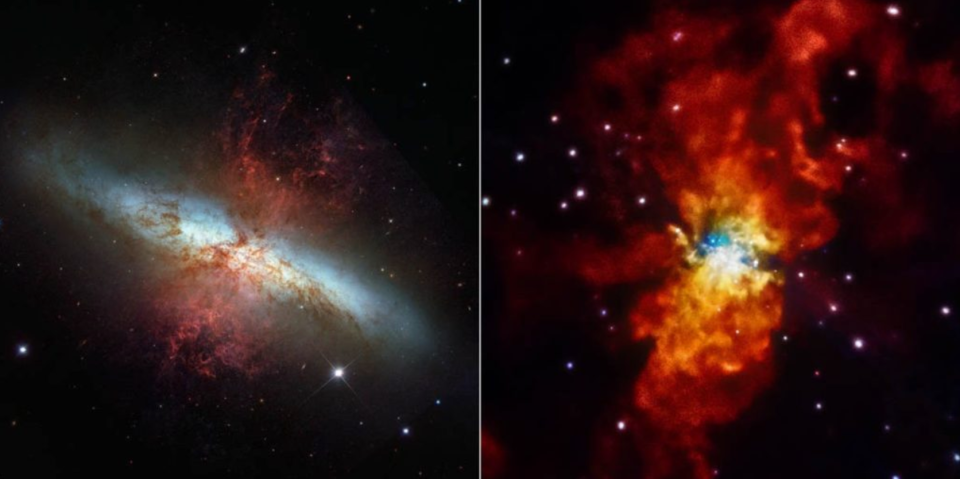 Eine Fotomontage zeigt einen Blick auf die Galaxie Messier 82 im sichtbaren Licht (links) und im Röntgenlicht (rechts). - Copyright: NASA/STScI/SAO