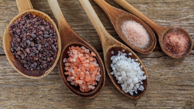 Varieties of salt in spoons