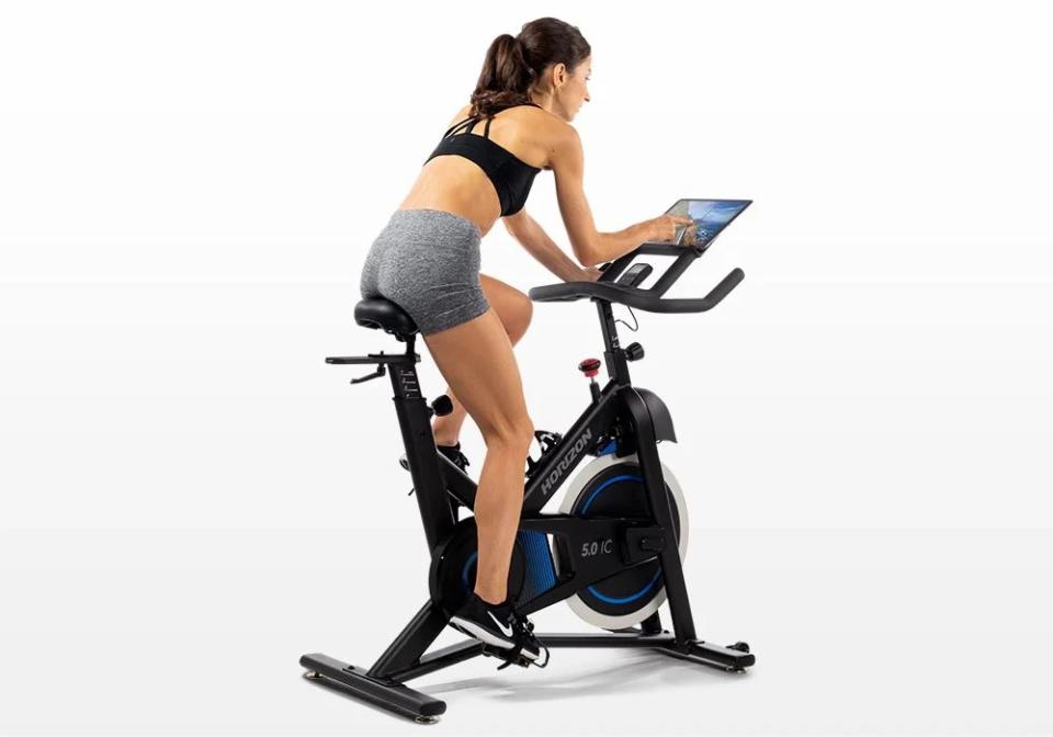 Horizon Fitness stationary bike