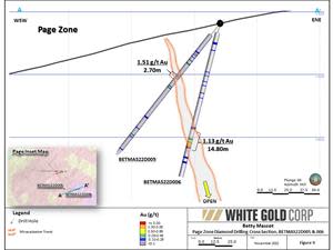 Page Zone BETMAS22D005 & D006 Cross Section