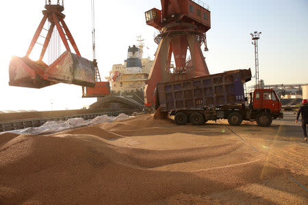 FILE PHOTO: Workers transport imported soybeans at a port in Nantong, Jiangsu province, China April 9, 2018. REUTERS/Stringer