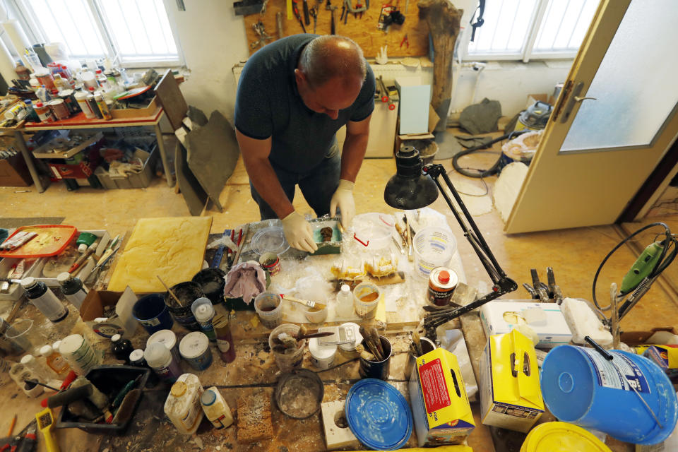 Vlastimil Sloup makes a plaster cast out of gorilla feces for an exhibition of animal excrements at the Prague Zoo, Czech Republic, Tuesday, May 7, 2019. The park has opened a new permanent exhibition that put on display wide range of animal feces. Placed on the outside walls of a new building with toilets, the exhibition offers information and samples from fossil turds, also known as coprolites, to the excrements of current animals of various size, shape, texture and color. (AP Photo/Petr David Josek)