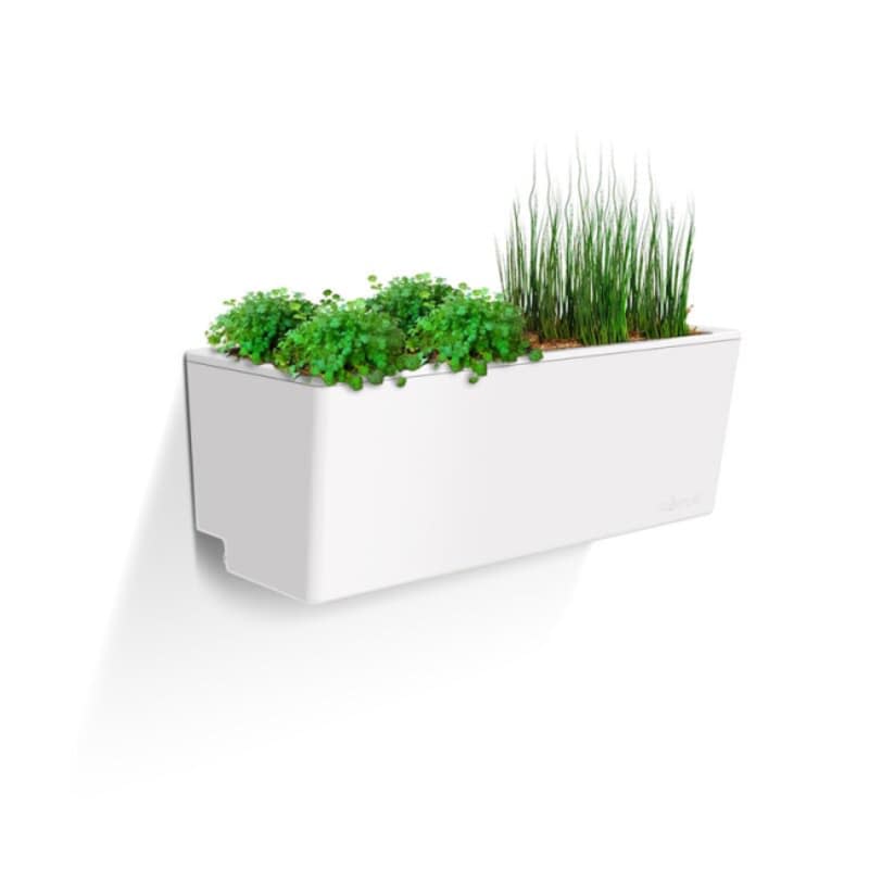 Glowpear Self-Watering Mini Wall Planter
