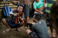 Far off the Indonesian resort island's tourist trail, heavily-tattooed men gather at a clandestine site where birds battle each other -- usually to the death -- in a gory spectacle known as tajen that meshes bloodsport with ancient Balinese Hindu traditions