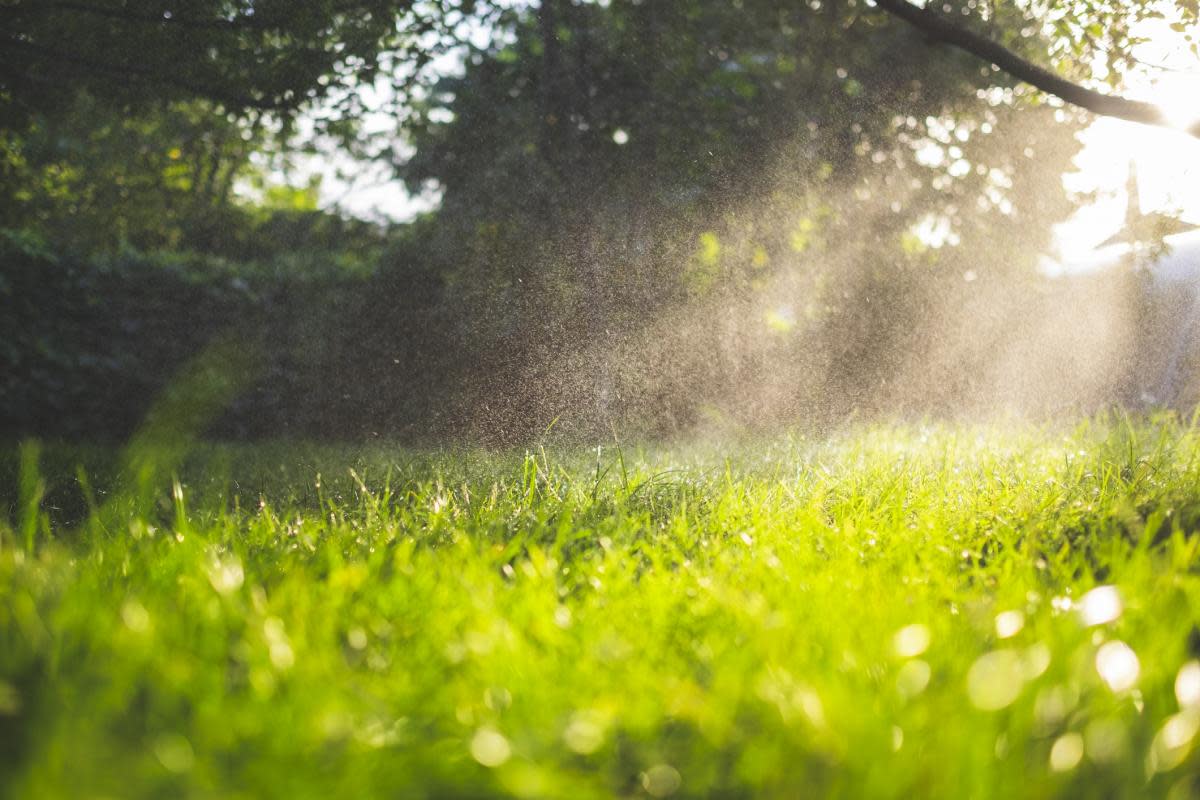 A mixture of rain and shine is expected on the bank holiday weekend <i>(Image: Getty)</i>