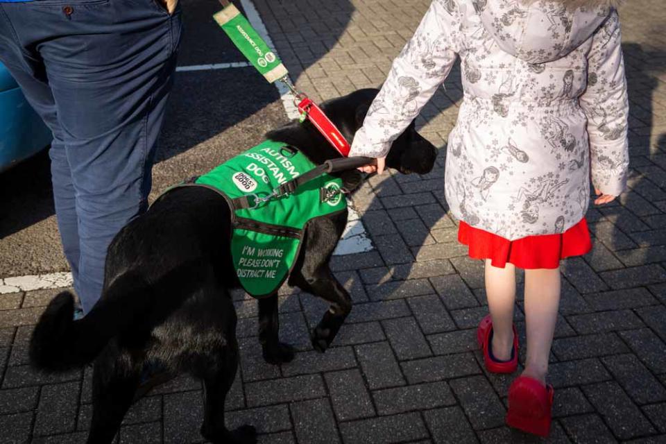 Oslo works as Emily’s autism assistance dog. (Collect/PA Real Life)