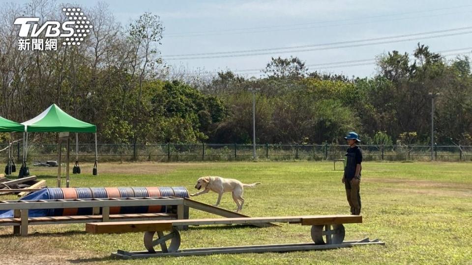 本次測驗中，新北市有4隻搜救犬獲得國際認證。（圖／TVBS）