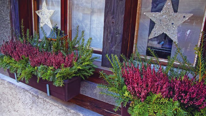 outdoor christmas planters live heather