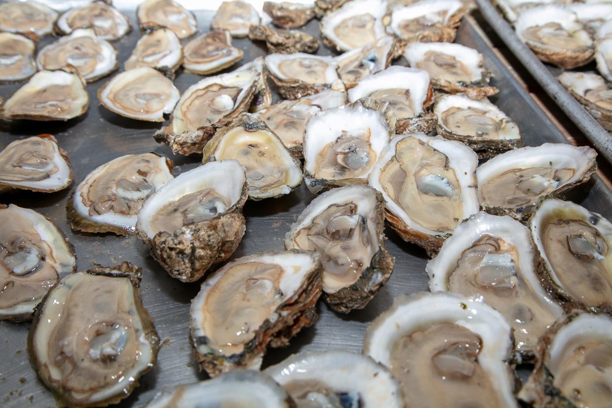 Oysters can be served  baked, broiled, fried, grilled, poached, smoked, steamed, and, of course, raw on the half shell.