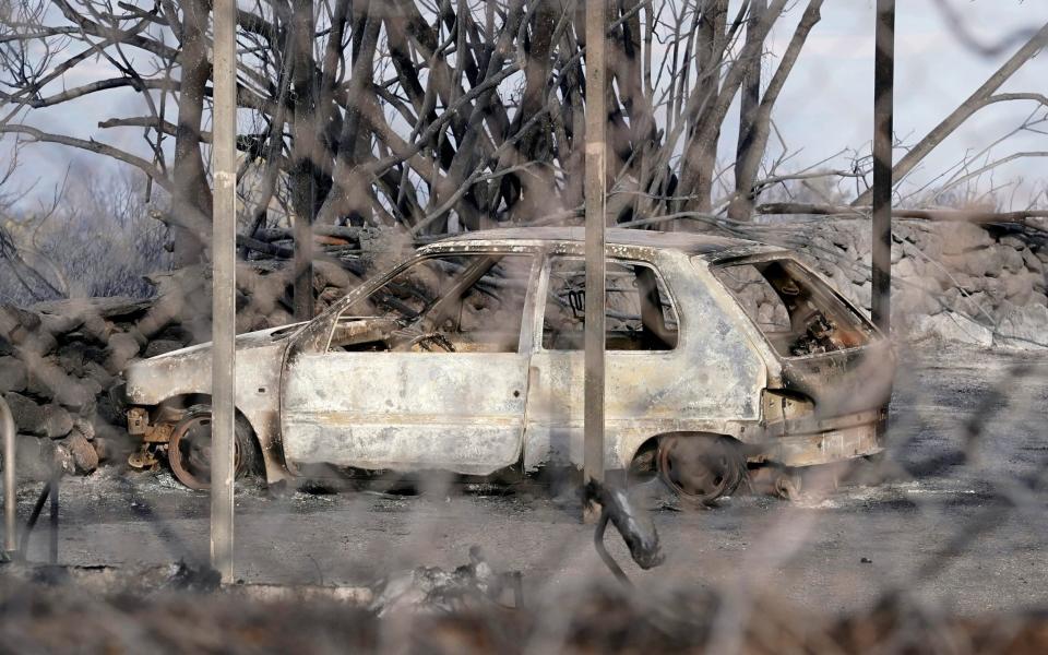 Wildfire - Alessandro Tocco/LaPresse/AP