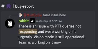 Screenshot from Rabbit’s “bug-report” channel. - Screenshot: Discord