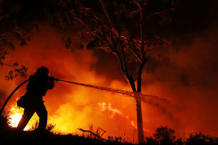 A firefighter is working on extinguishing the Lilac Fire, a fast moving wildfire in Bonsall, California, U.S., December 7, 2017. REUTERS/Mike Blake