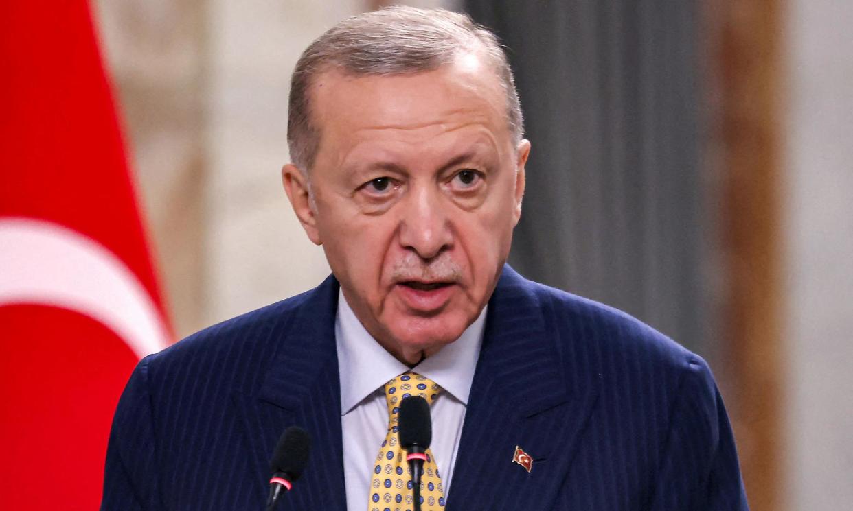 <span>Turkey’s president, Recep Tayyip Erdoğan. The country’s trade ministry said imports and exports will only resume if sufficient aid is allowed into Gaza by Israel.</span><span>Photograph: Ahmad Al-Rubaye/Reuters</span>
