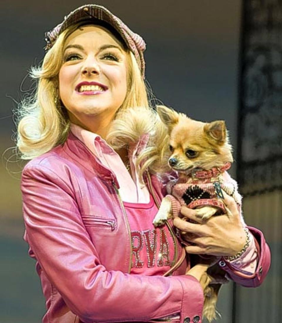 Just the ticket: Sheridan Smith in Legally Blonde