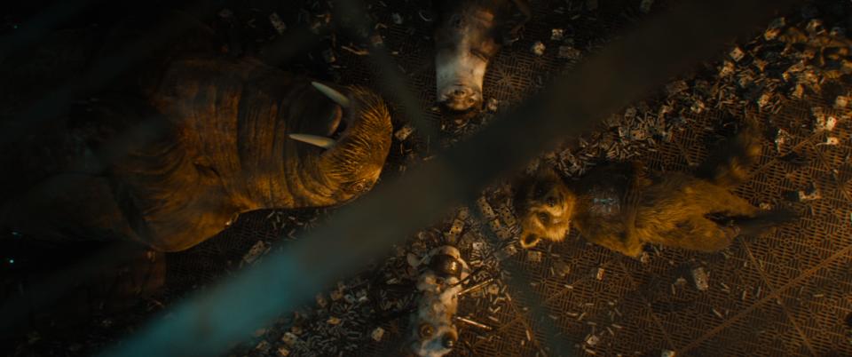 (L-R): Teefs (voiced by Asim Chaudry), Lylla (voiced by Linda Cardellini), Rocket (voiced by Bradley Cooper), and Floor (voiced by Mikaela Hoover) in "Guardians of the Galaxy Vol. 3."