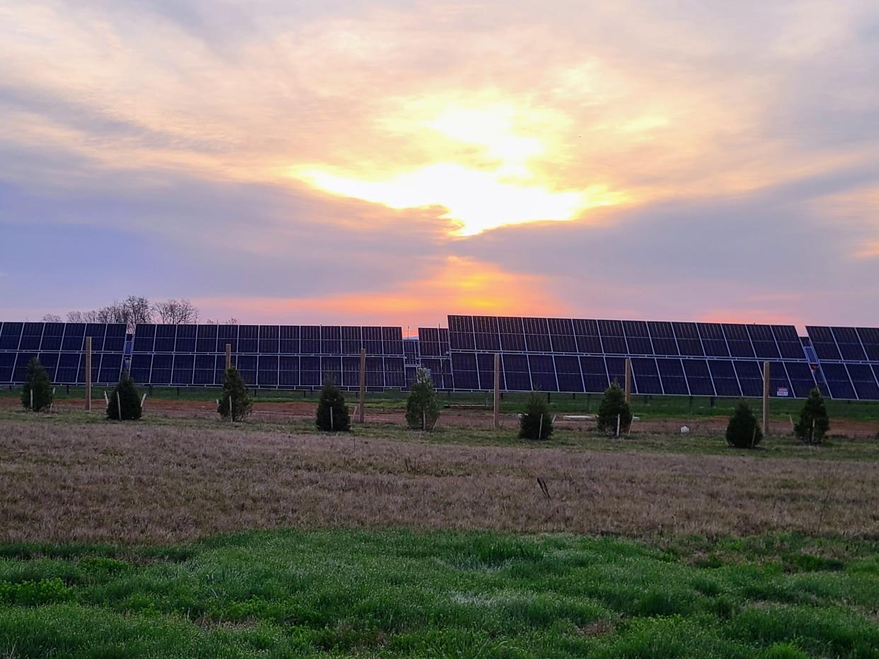 A view of the solar farm called Whitetail Solar 2, which generates electricity for Penn State University.