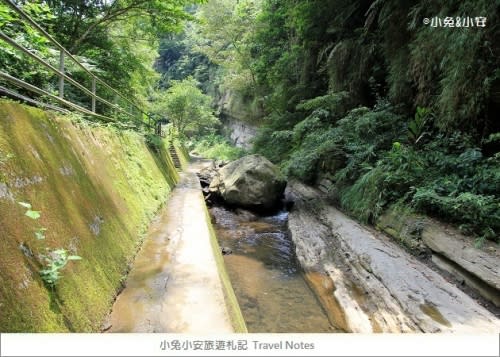 『苗栗』暑假夏日溪畔玩水趣～卓蘭岩川森林園區。