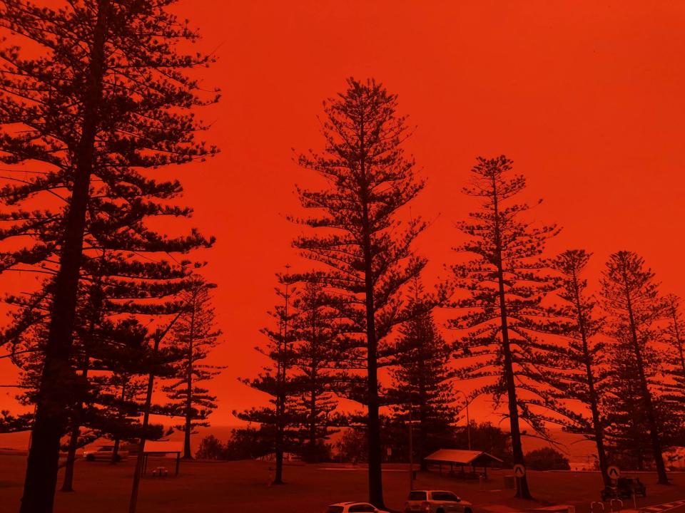 Picture of Port Macquarie, without a filter, where a fire has just started and as of yet does not pose any threat, but residents should be advised. Source: Imgur.