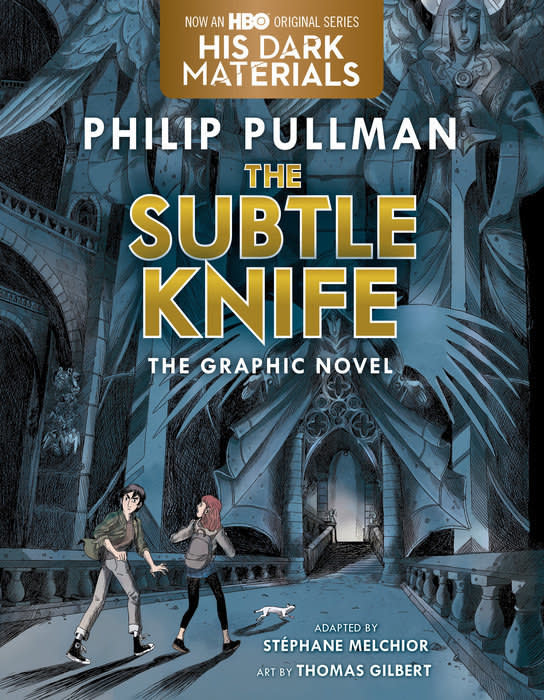 Cover for The Subtle Knife