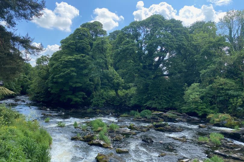 Gorgeous Galgorm landscape