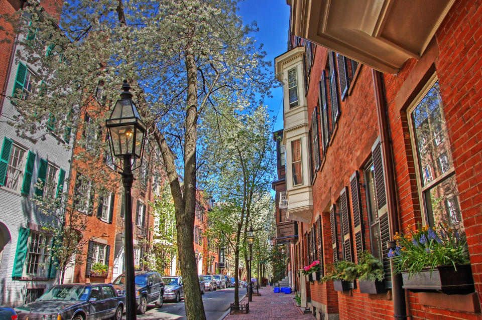 An old street in Beacon Hill is lined with blossoming trees and flowers during spring.