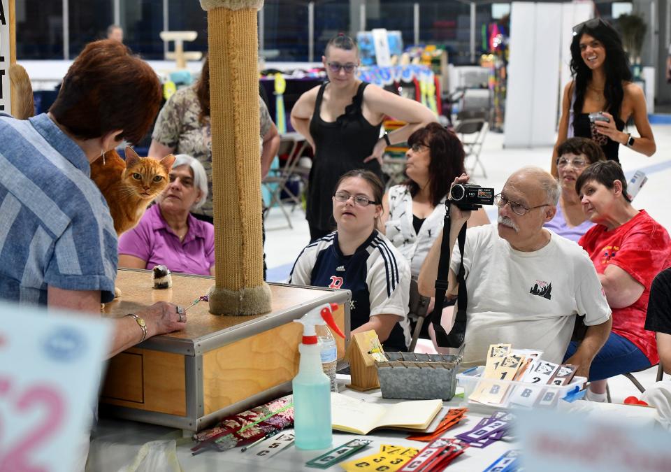 The household pets category was popular.