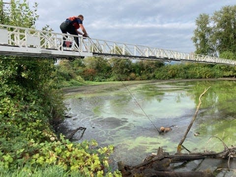 A Portland Fire & Rescue crew used rope and a ladder Friday to rescue a man later recognized by a nurse as Christopher Lee Pray.