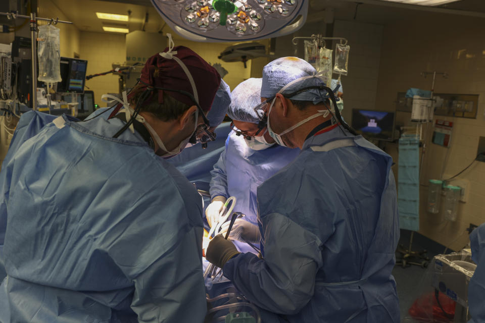 Surgeons perform the world’s first genetically modified pig kidney transplant into a living human at Massachusetts General Hospital, Saturday, March 16, 2024, in Boston, Mass. (Massachusetts General Hospital via AP)