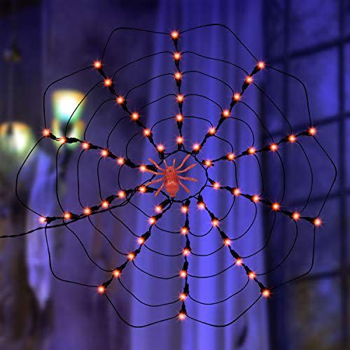 6) LED Spider Web Lights