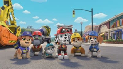 🥇 Vinyl rubble chase and marshall the paw patrol 🥇